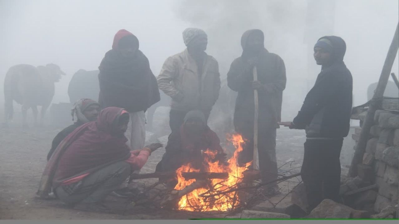 Severe cold starts in Madhya Pradesh