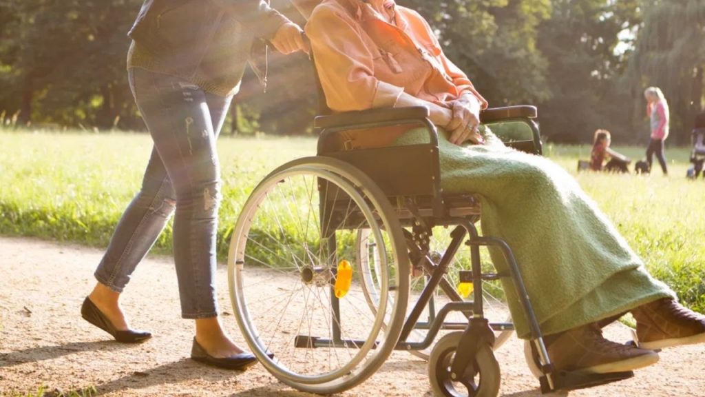 The country's largest disabled park will be built in MP