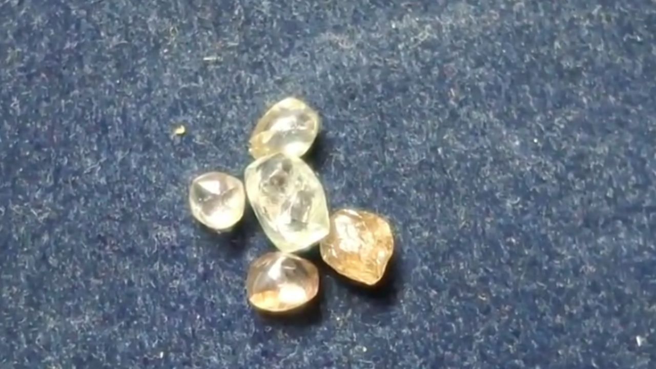 A person found 5 diamonds in Panna.