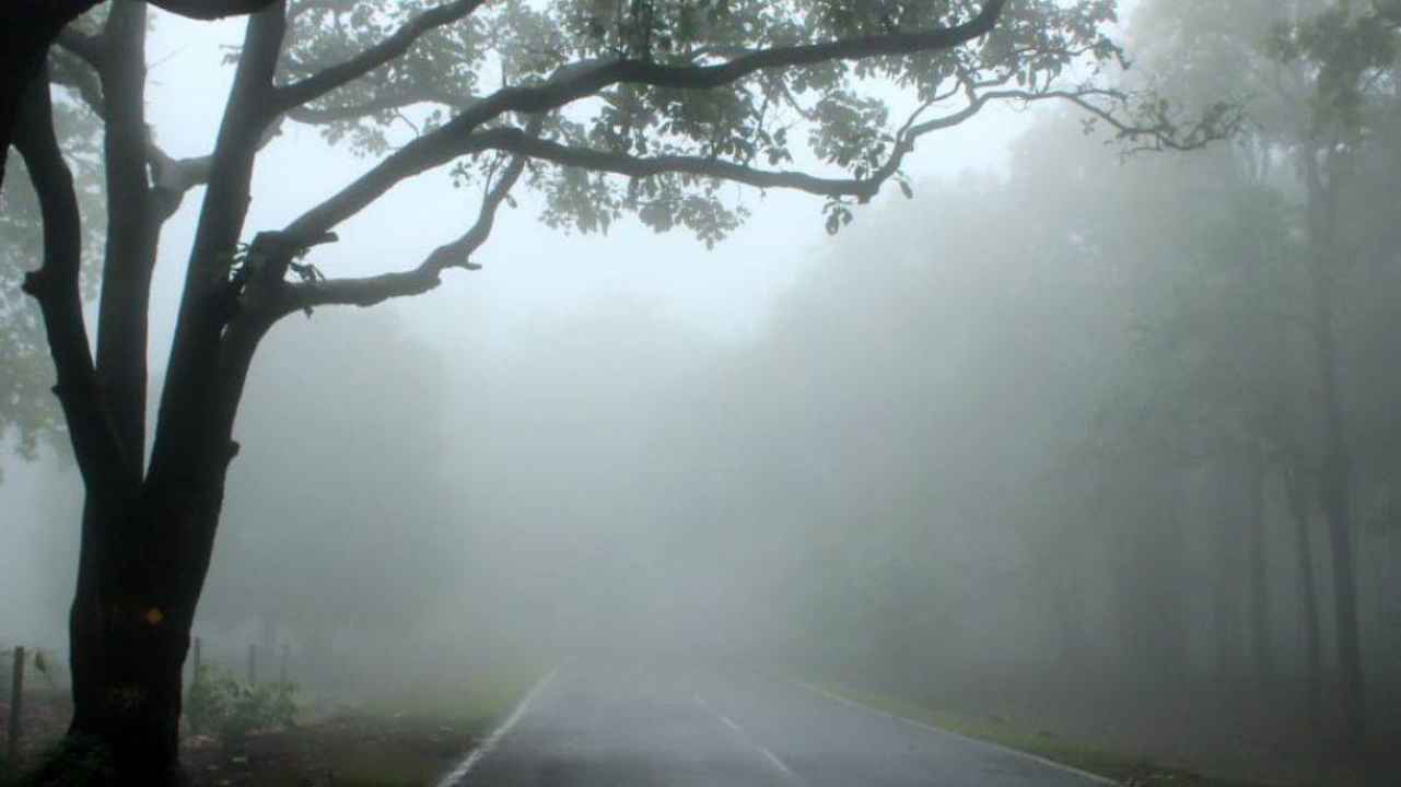 cg weather forecast today