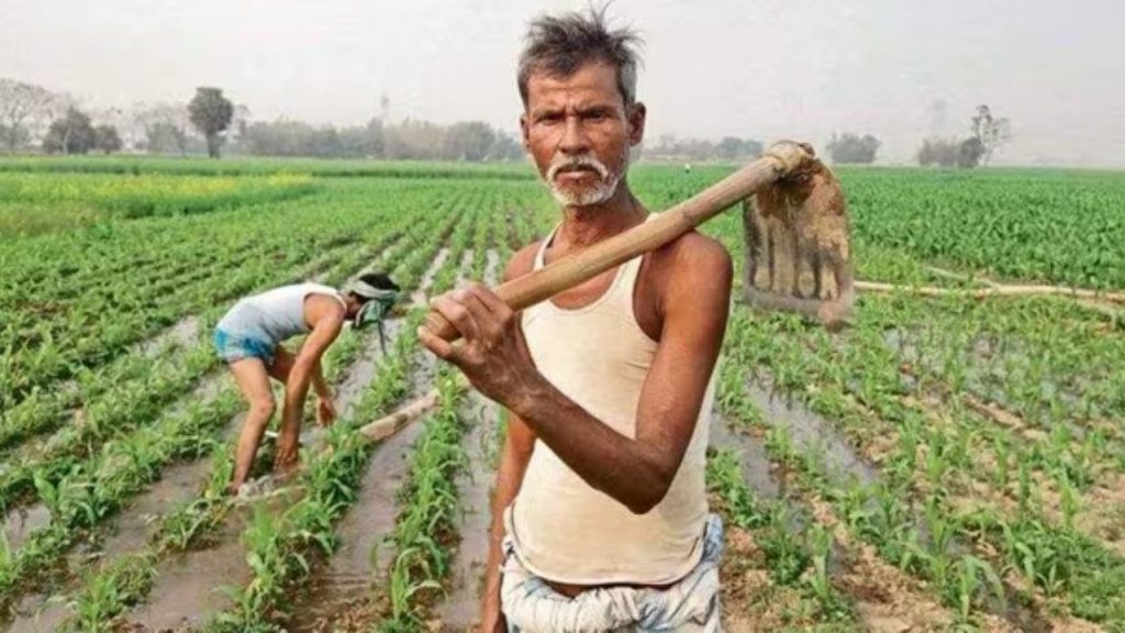 PM Kisan 21st installment ₹2000 payment to be credited on 19 November