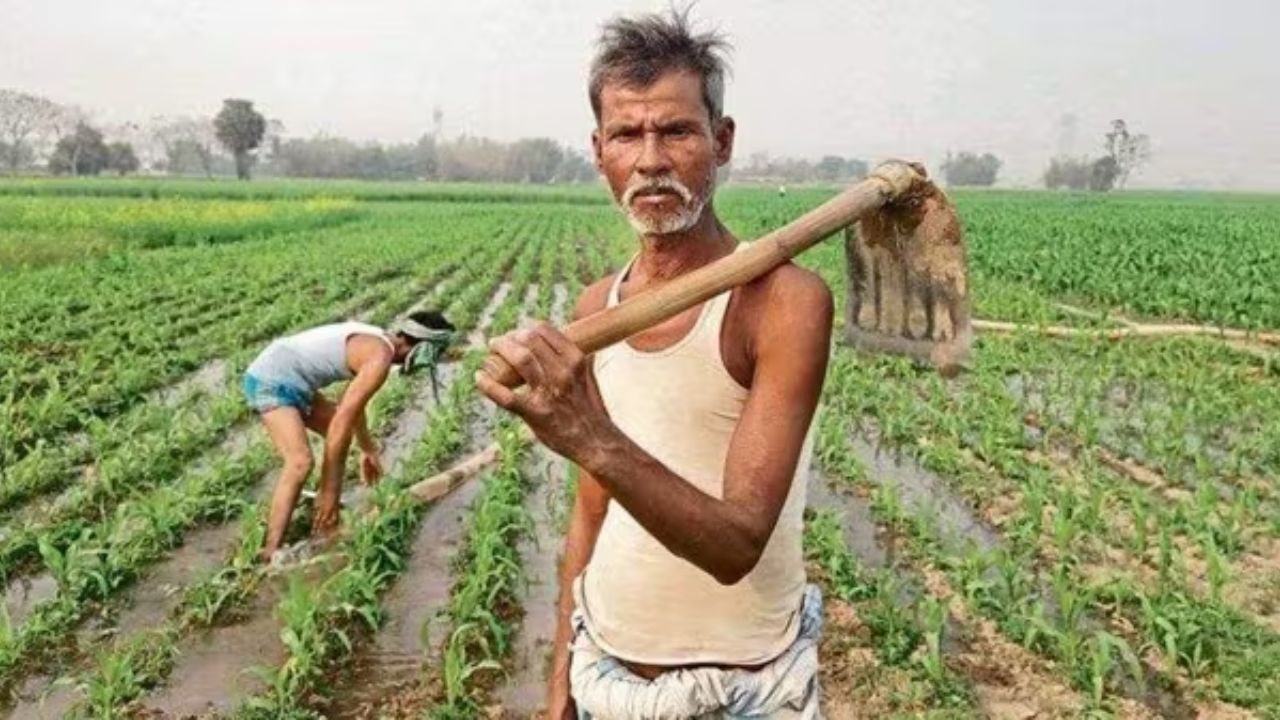 PM Kisan 21st installment ₹2000 payment to be credited on 19 November