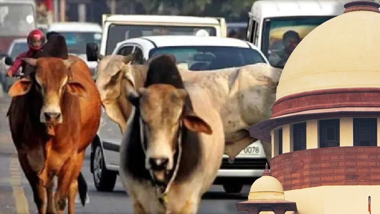Supreme Court orders removal of stray cattle from national highways and roads