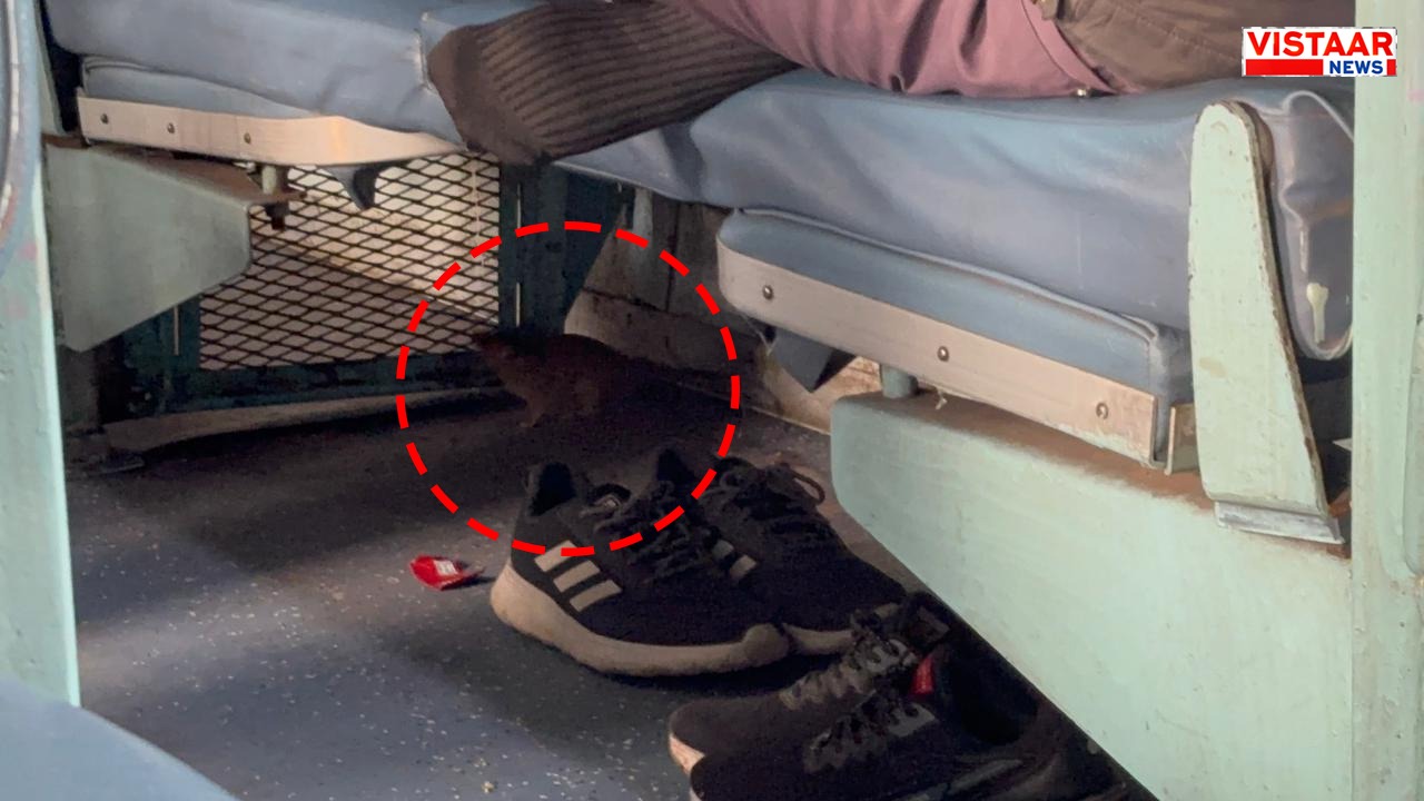 After the hospital and bridge in Madhya Pradesh, rats created terror in the train also.