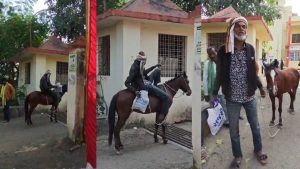 A man arrived at court in Burhanpur with a horse.
