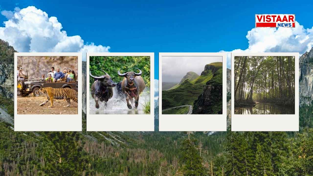 indravati_national_park