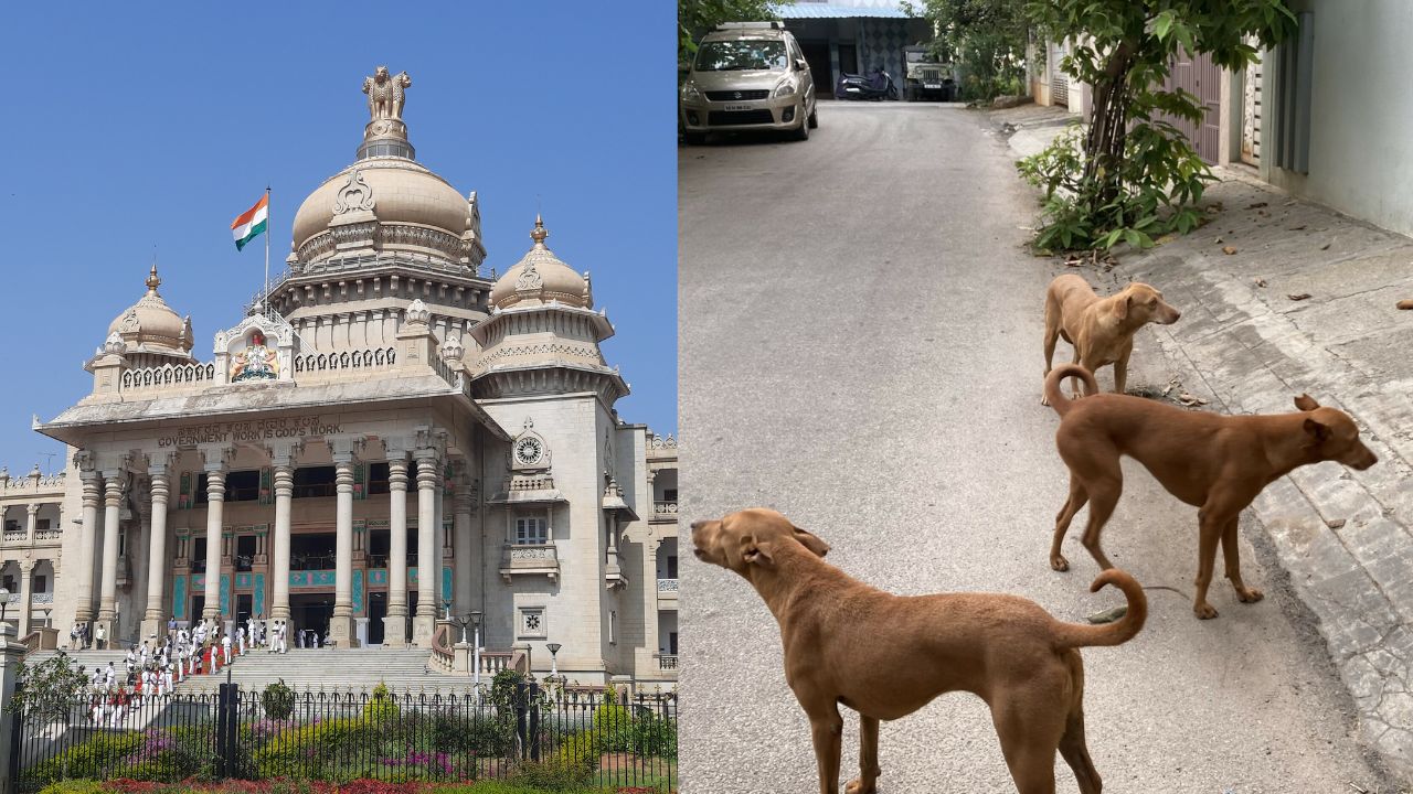 Karnataka government major decision state government will provide compensation of Rs 5 lakh in case of death due to dog bite