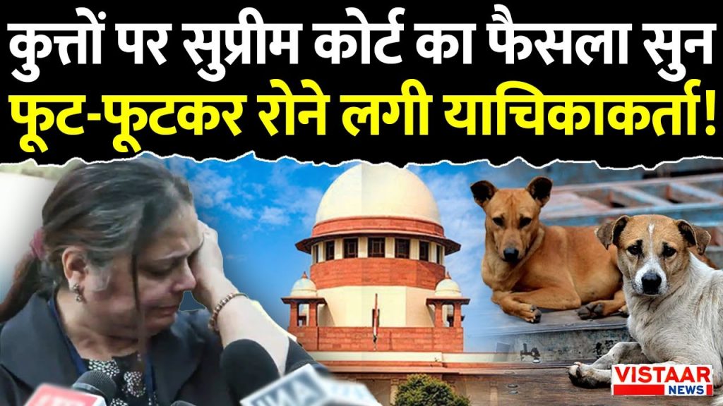 SC On Stray Dogs