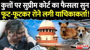 SC On Stray Dogs