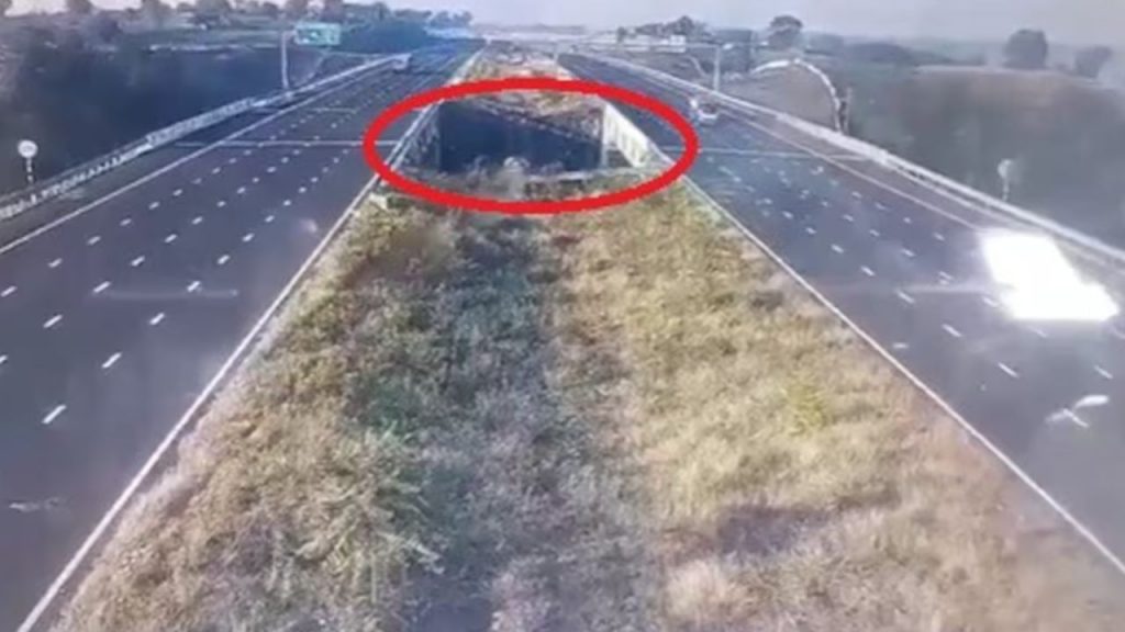 Road accident near Ratlam on Delhi Mumbai Expressway, 5 people died