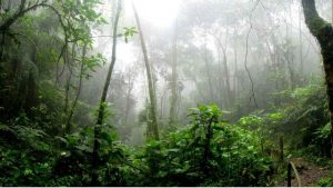 Chhattisgarh winter tourist places