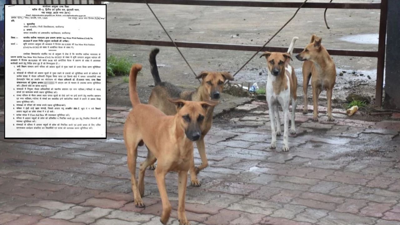 Education department's Order on Dog's