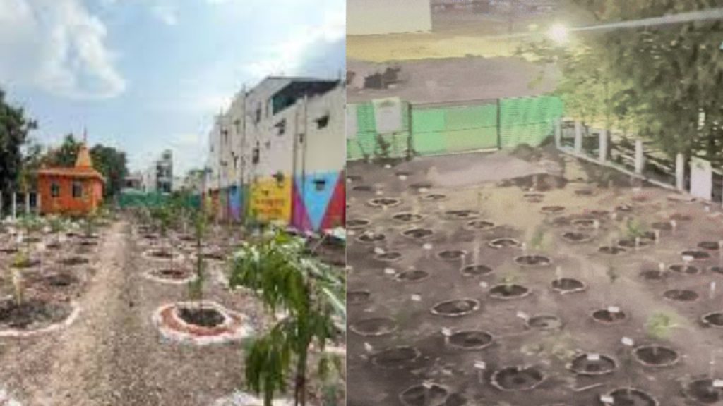 A unique garden for birds in Indore, where entry is banned for humans.