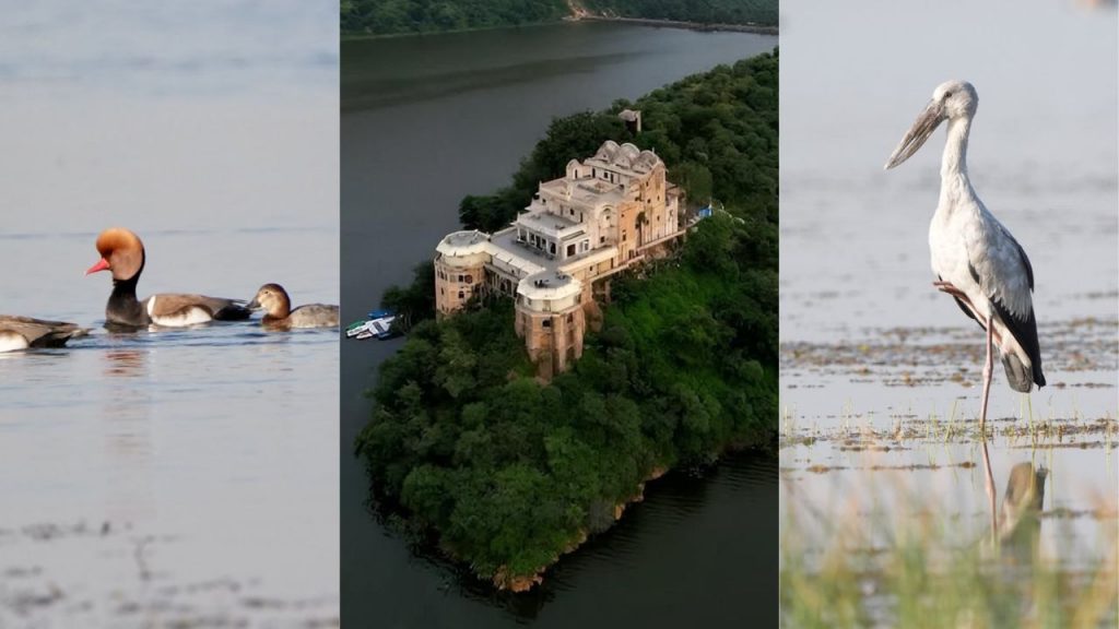 Kopra Reservoir Bilaspur