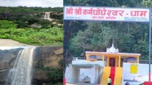 MCB Winter Picnic Spots