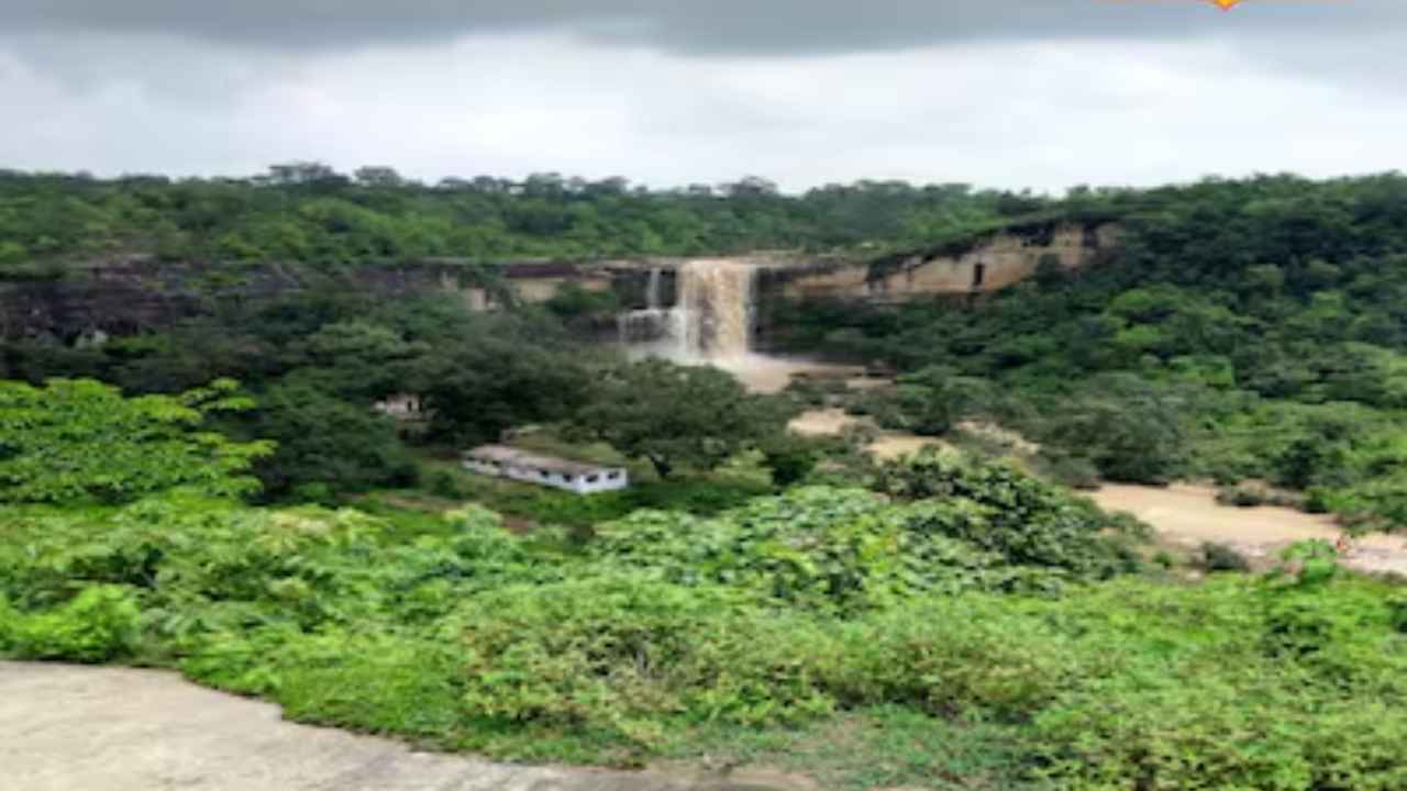 MCB Winter Picnic Spots