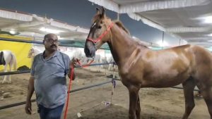 MP 1.27 crore rupees mare