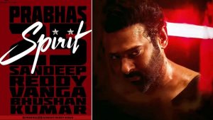 Spirit Star Cast Fees