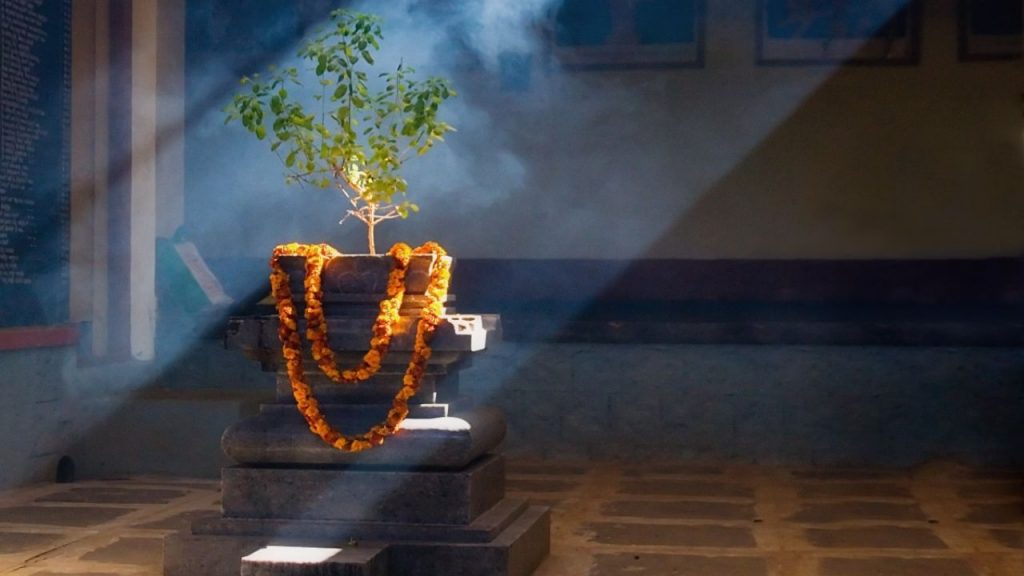 Tulsi Pujjan Diwas 2025