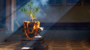 Tulsi Pujjan Diwas 2025