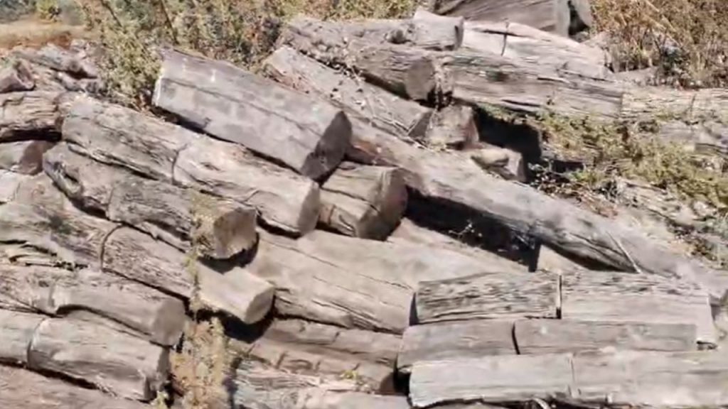 A warehouse was raided in Alirajpur in connection with smuggling worth crores.