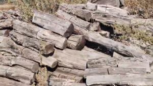 A warehouse was raided in Alirajpur in connection with smuggling worth crores.