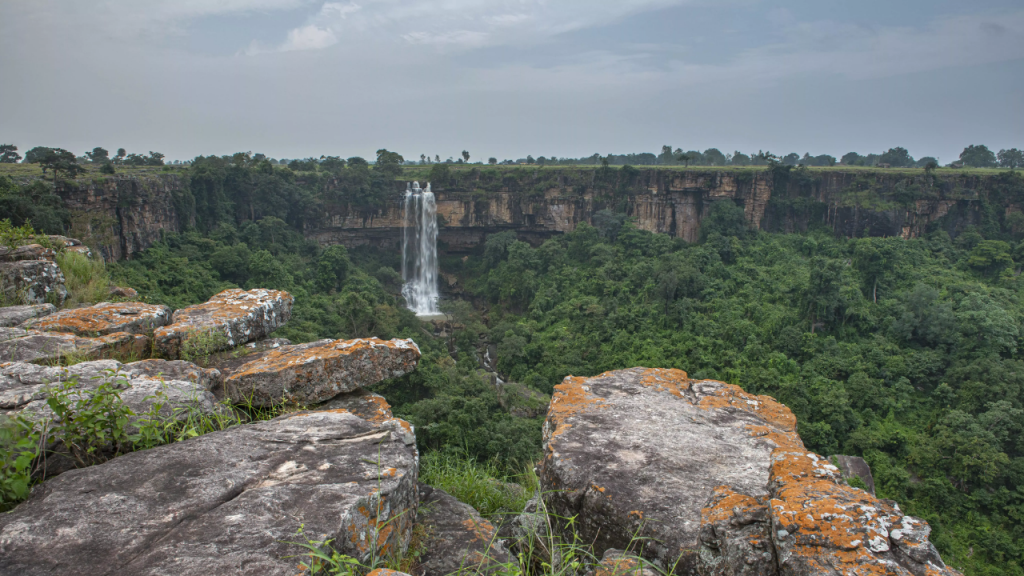 cg_literate_districts