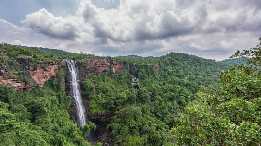 cg_literate_districts