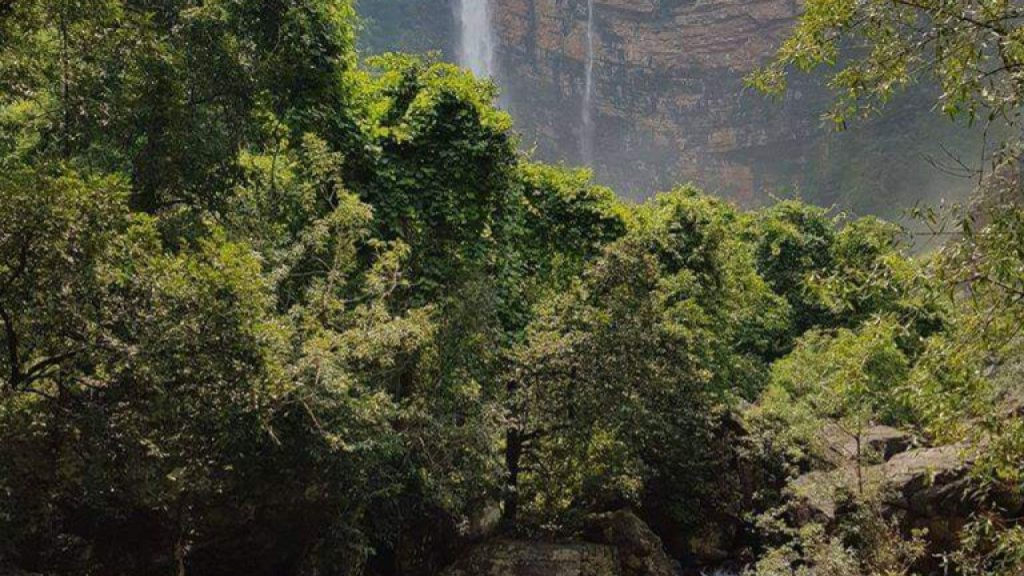 cg_literate_districts