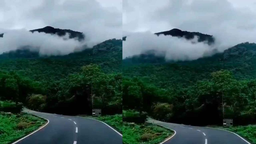Chliphi Ghati Chhattisgarh winter fog valley scenic view