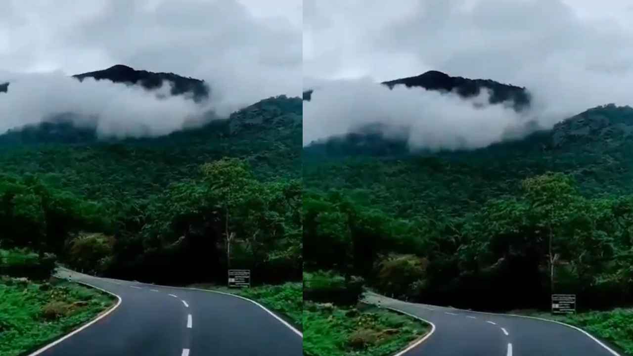 Chliphi Ghati Chhattisgarh winter fog valley scenic view
