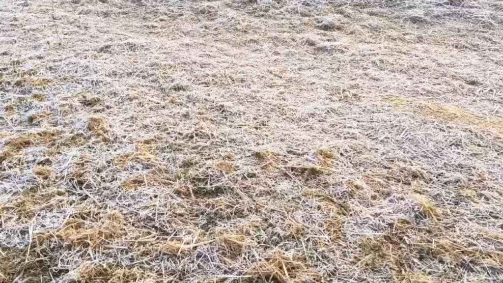 Chhattisgarh Cold Wave Ambikapur 6.9 Degree Temperature