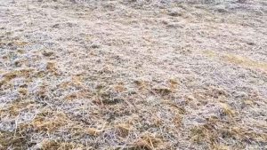 Chhattisgarh Cold Wave Ambikapur 6.9 Degree Temperature