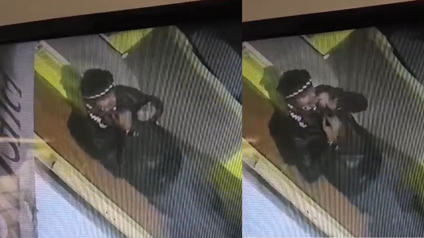 The criminal was caught on CCTV