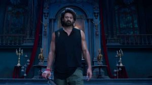 The Raja Saab Collection