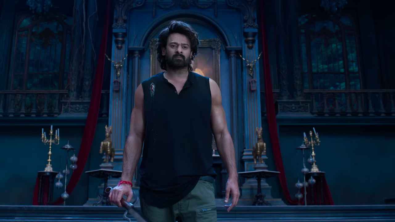 The Raja Saab Collection