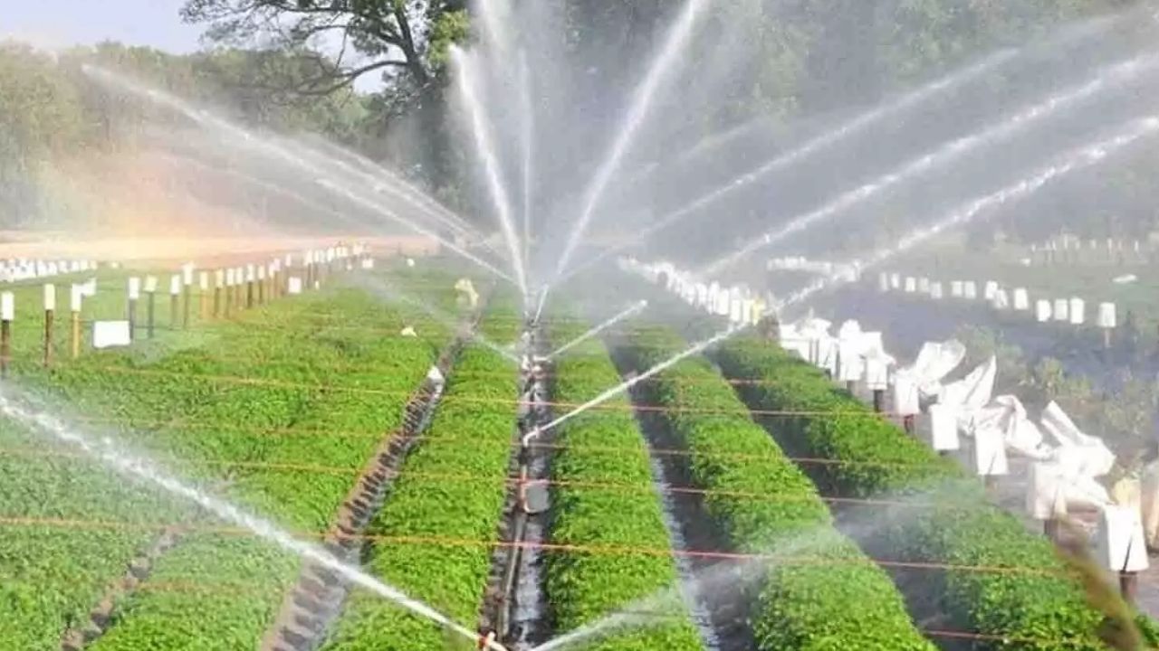 mp three irrigation projects have been included in the Centre MCAD program