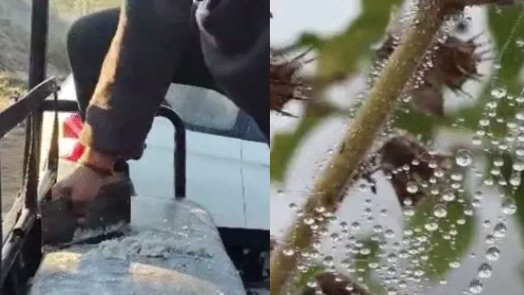 Severe cold wave grips Madhya Pradesh: Mercury drops to 1 degree in Nowgong.