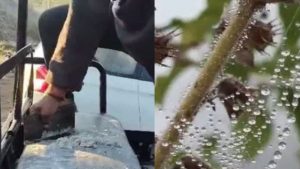 Severe cold wave grips Madhya Pradesh: Mercury drops to 1 degree in Nowgong.