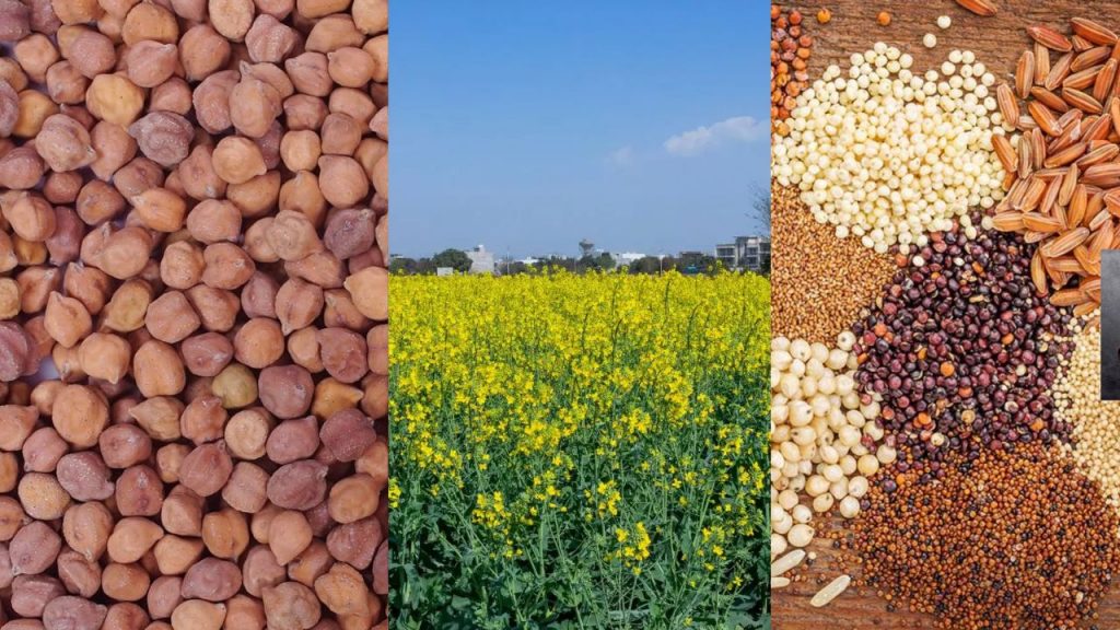 Research centers will be established in Madhya Pradesh for mustard, chickpeas, and millets.