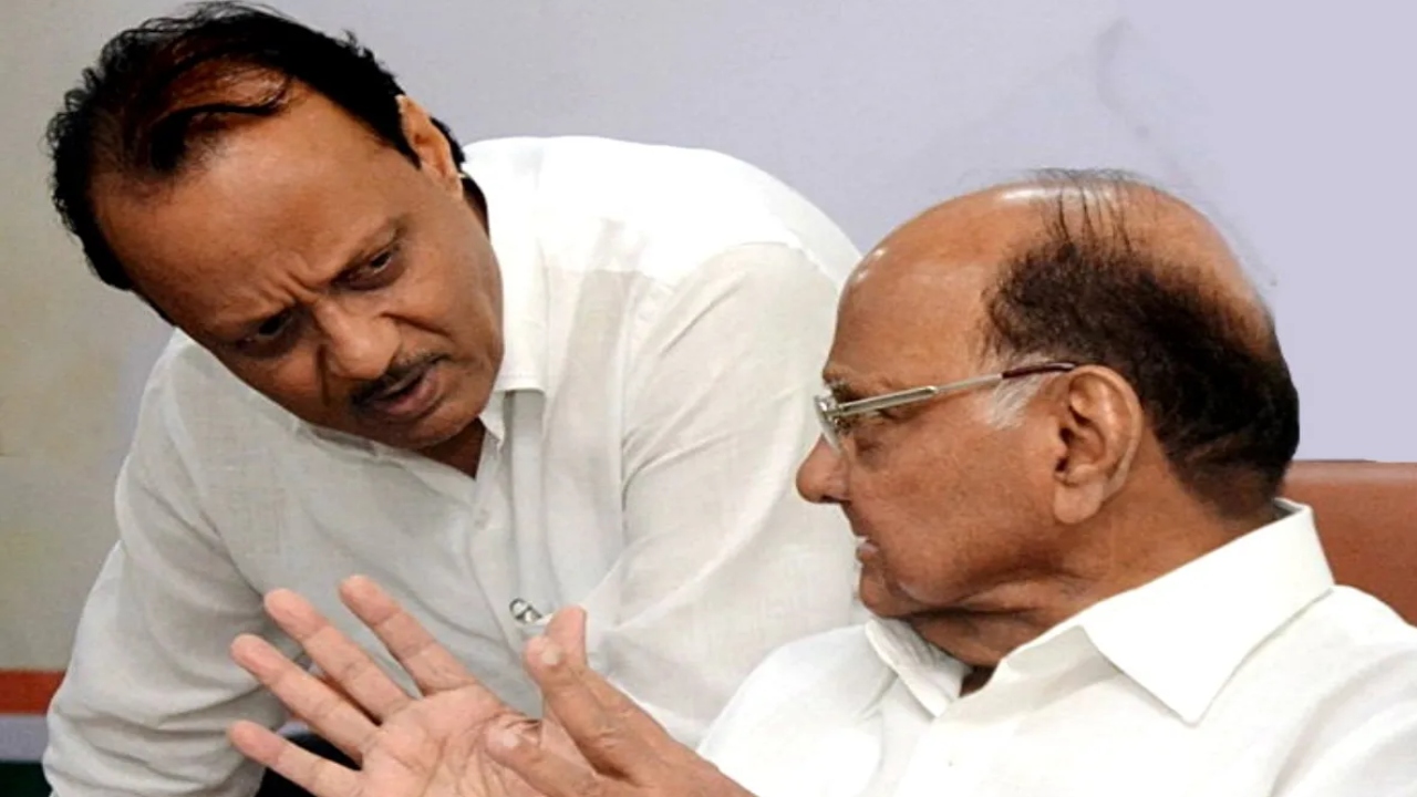 sharad pawar and Ajit Pawar nagar nigam election