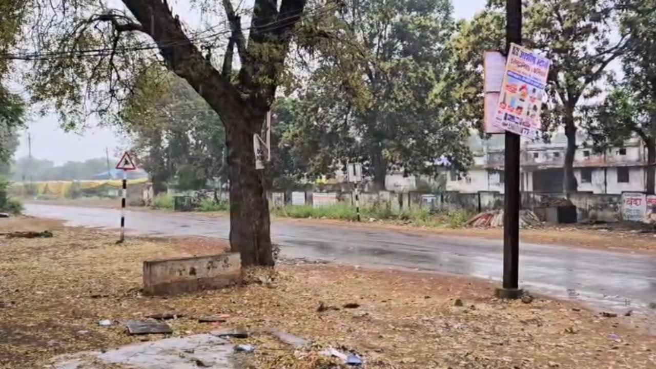 cg weather forecast today