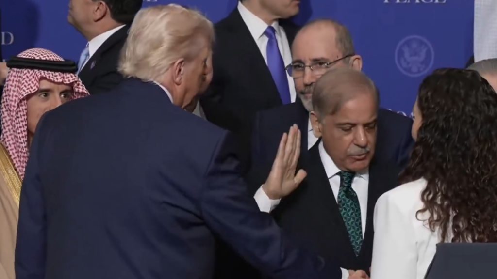 Donald trump And Shahbaz Sharrif Board Off Peace