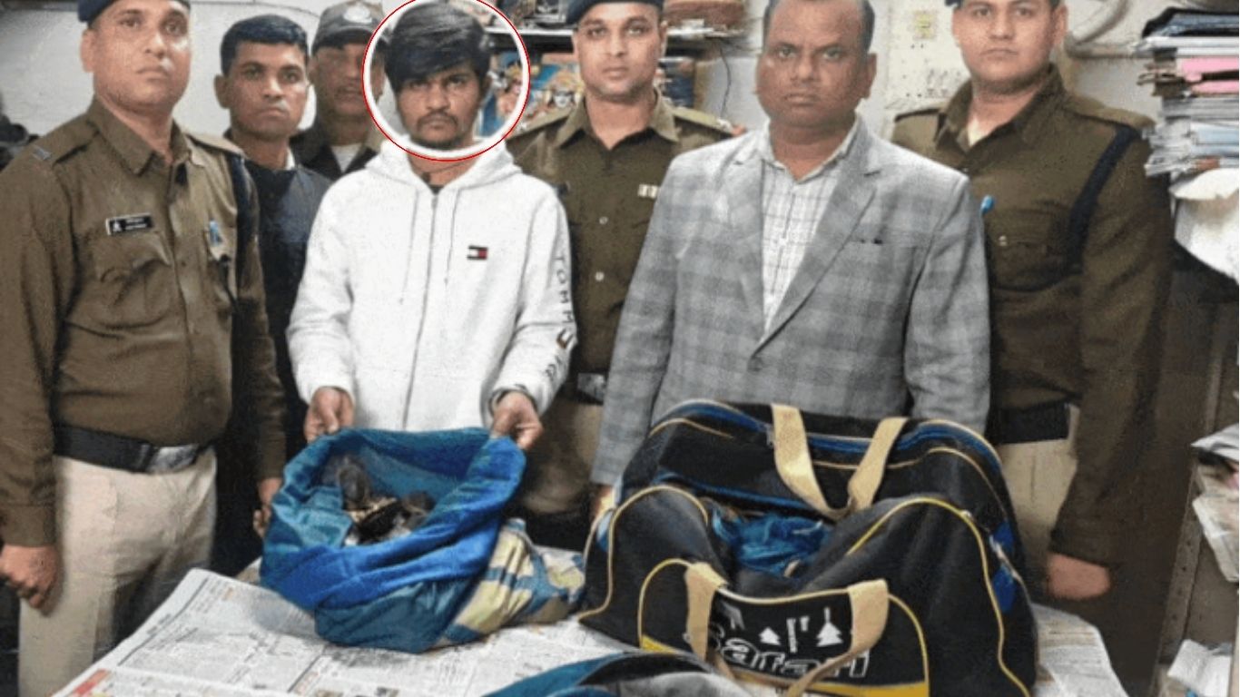 Turtle smuggler arrested in Bhopal