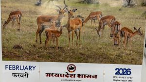 Political uproar over the picture of deer on the government calendar of MP.