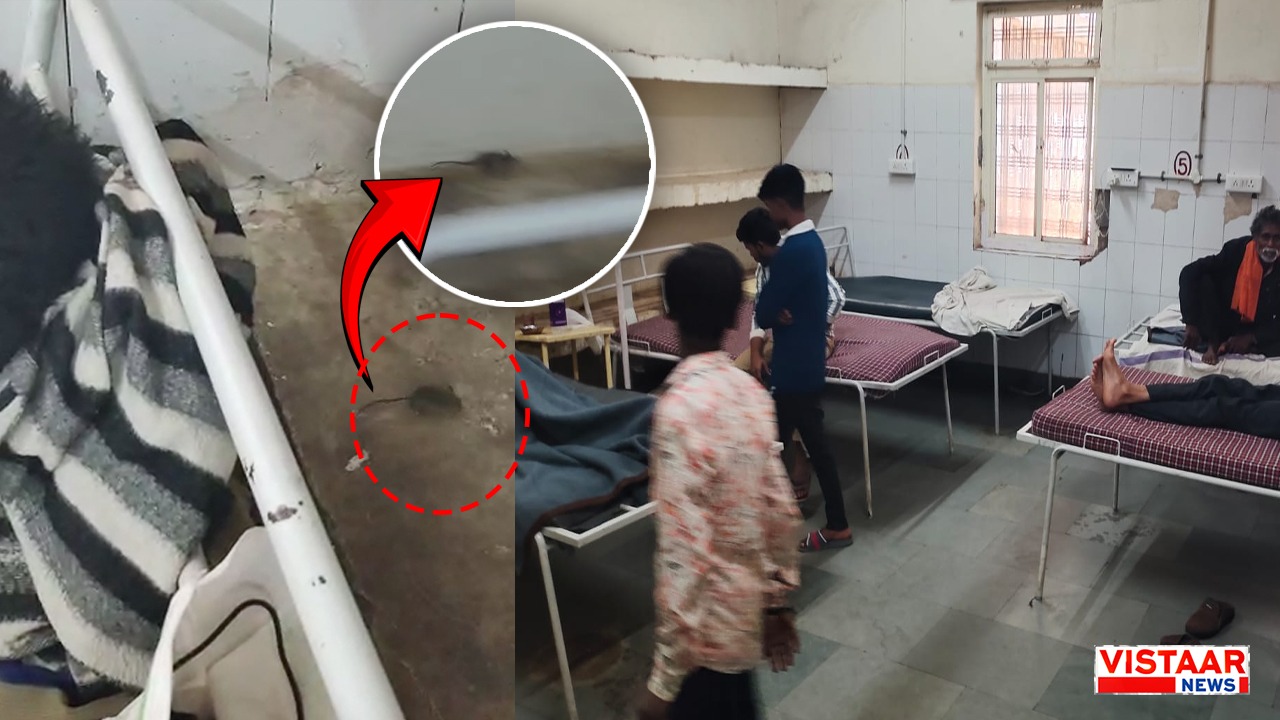 Rat menace in Ashoknagar district hospital.