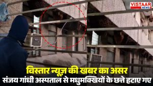 Beehives were removed from Sanjay Gandhi Hospital.