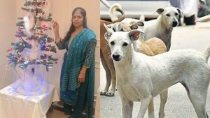 Gwalior woman died after being bitten by dog had not received anti rabies injections