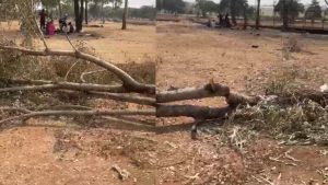 Raipur chitrotpala film city congress protest Chipko aandolan