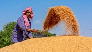 mp wheat procurement registration how to apply fees and last date